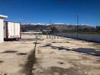 Ασπρόπυργος οικόπεδο 5.500 τ.μ προς ενοικίαση