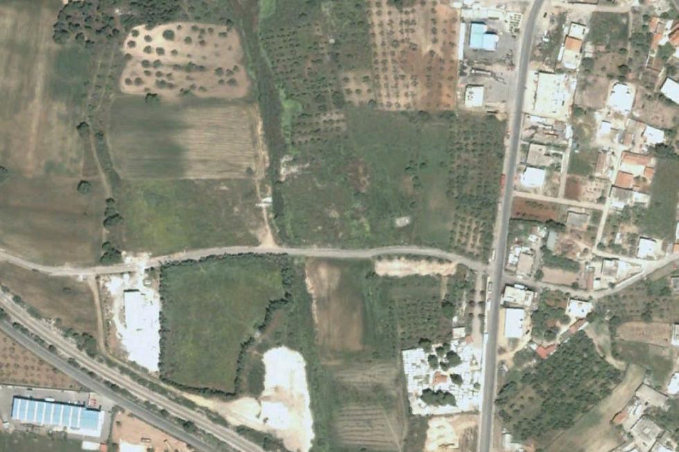 Οινόφυτα οικόπεδο 9.632 τ.μ προς πώληση