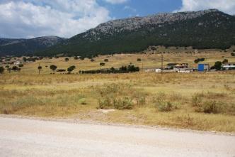 Ασπρόπυργος οικόπεδο 5.000 τ.μ προς πώληση