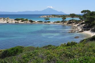 Χαλκιδική οικόπεδο 28.000 τ.μ προς πώληση.
