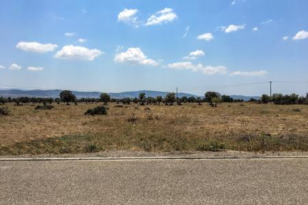 Θριάσιο οικόπεδο 14.500 τ.μ προς πώληση