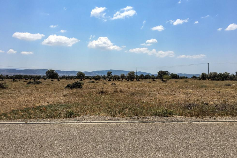 Θριάσιο οικόπεδο 14.500 τ.μ προς πώληση