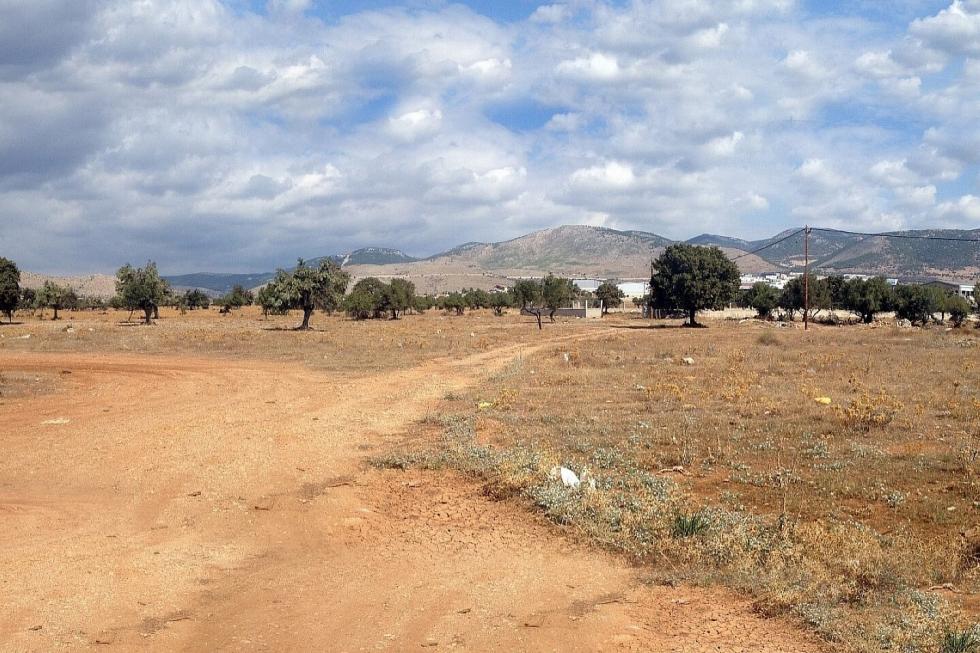 Θριάσιο οικόπεδο 15 στρ προς πώληση