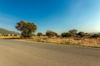 Ασπρόπυργος οικόπεδο 50.000 τ.μ προς πώληση