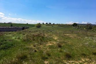 Οινόφυτα βιομηχανικό οικόπεδο 24 στρ προς πώληση