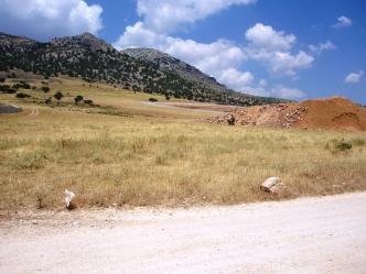 Ασπρόπυργος οικόπεδο 12.000 τμ προς πώληση