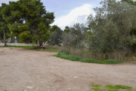 Ραφήνα οικόπεδο 740 τ.μ προς πώληση